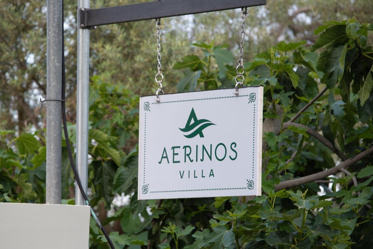 Aerinos Private Villa Lefkáda Extérieur photo