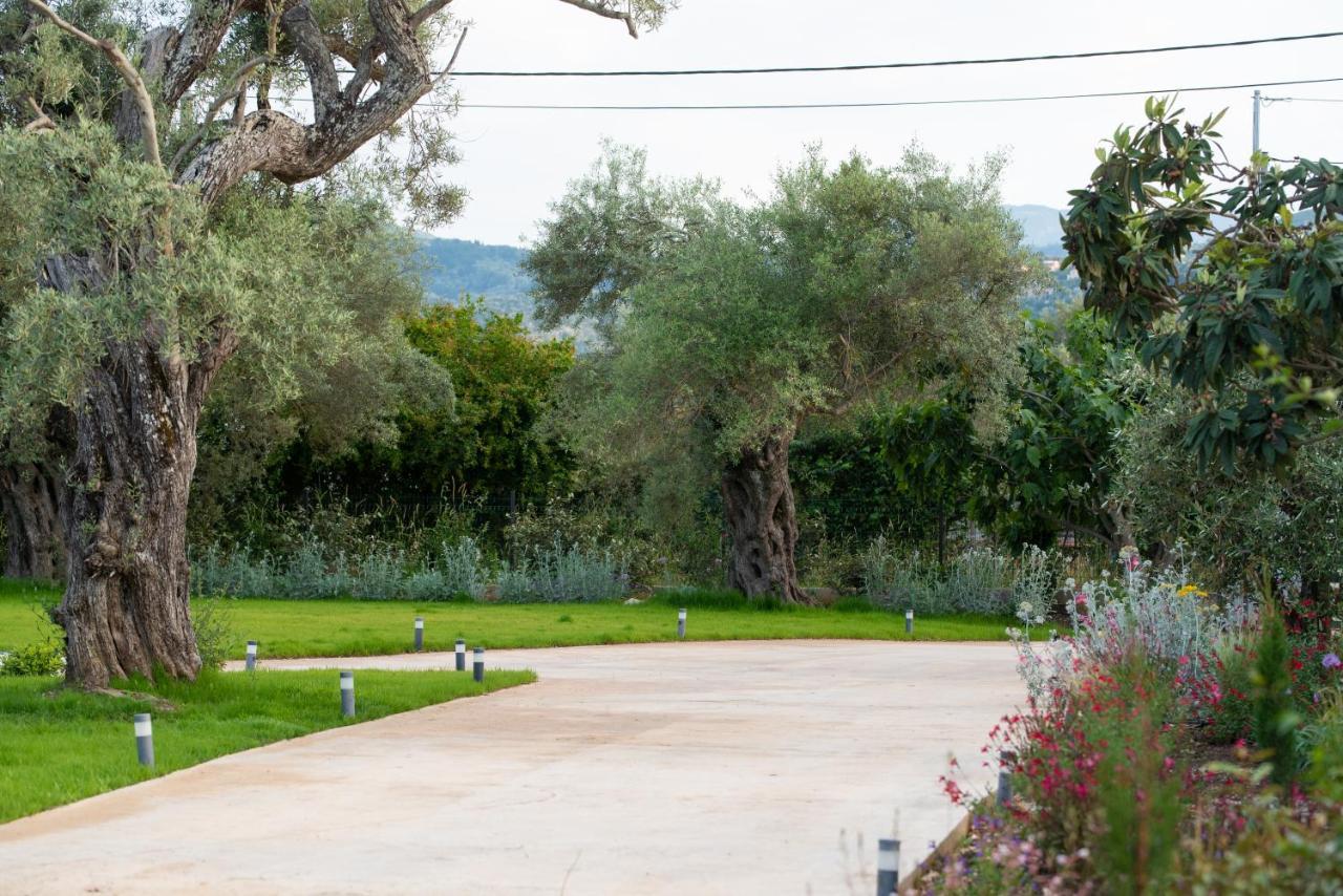 Aerinos Private Villa Lefkáda Extérieur photo