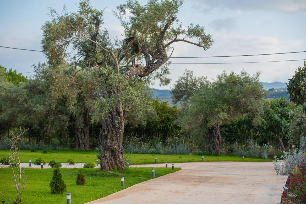 Aerinos Private Villa Lefkáda Extérieur photo