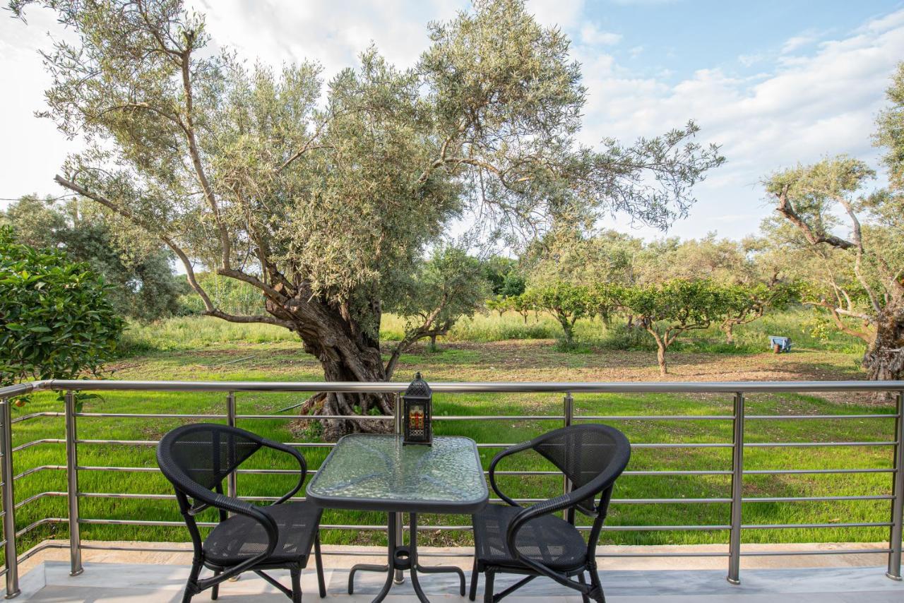 Aerinos Private Villa Lefkáda Extérieur photo