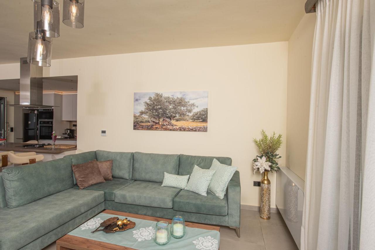 Aerinos Private Villa Lefkáda Extérieur photo